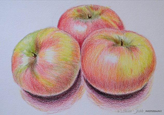 art_apples_coloredpencils_F2686