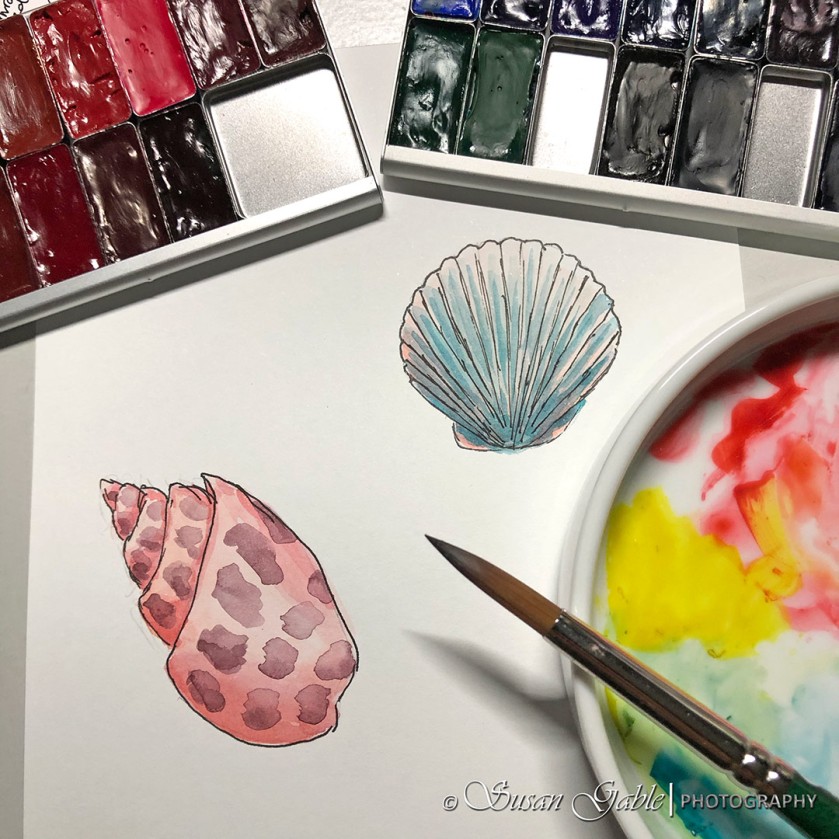 Painting a Sea Shell Card and My DIY Watercolor Paint Palette Case